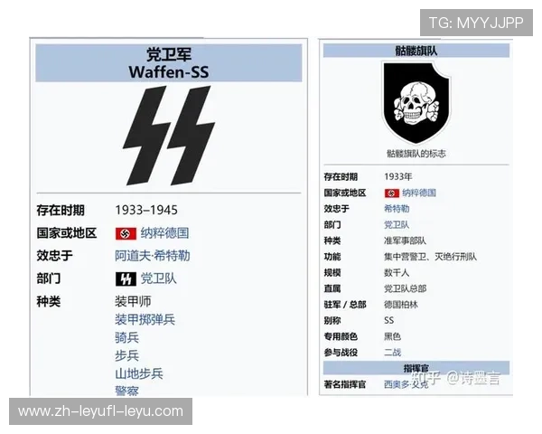 德甲球队队旗设计与历史