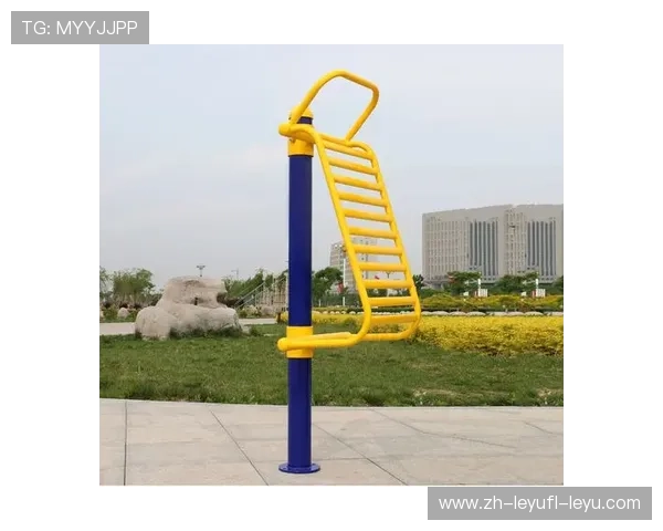 社区常见健身器材外观设计标准与选型建议 社区常见健身器材外观设计标准与选型建议