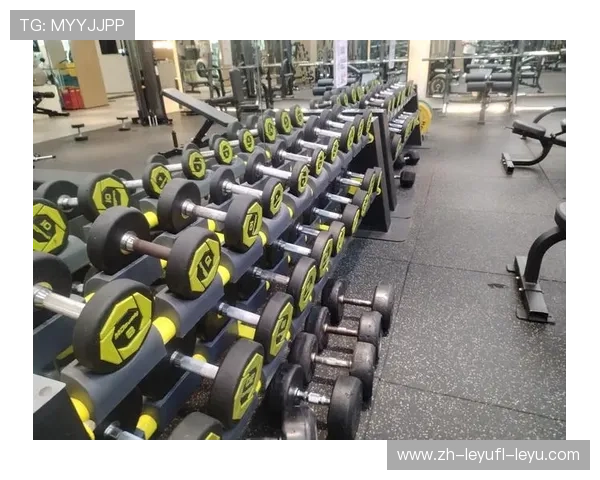 预算友好型健胸设备精选高性价比家庭健身方案