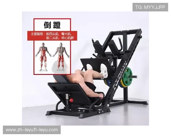 圆机健身器材解析：家用与商用功能与适配性详解